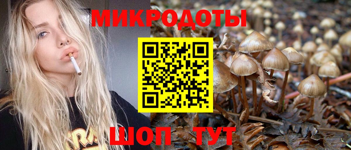 Бахчисарай  как найти наркотики  Вход с VPN  Псилоцибиновые грибы Cubensis 