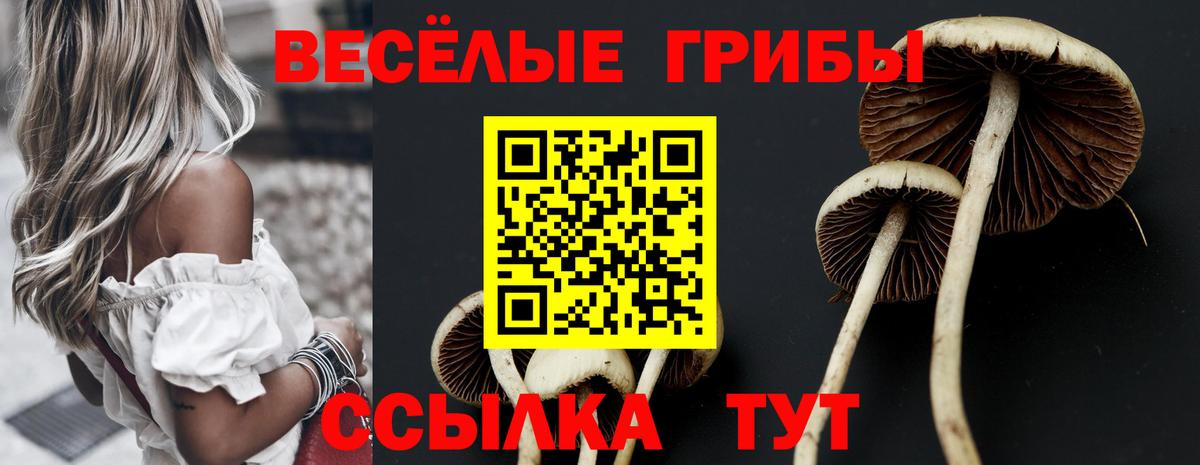 Псилоцибиновые грибы мухоморы Бахчисарай